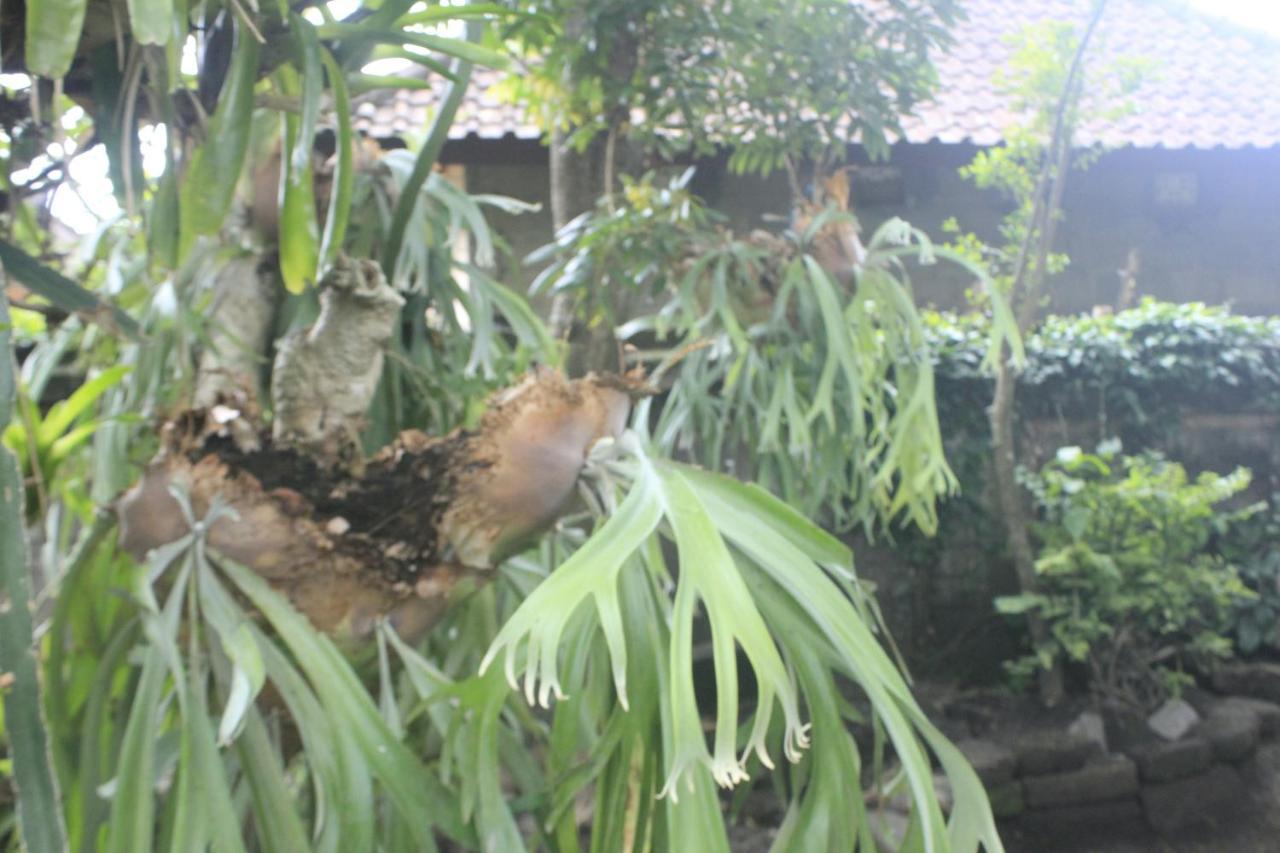 Umah De Arlika Ubud Kültér fotó