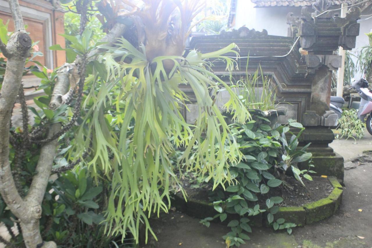 Umah De Arlika Ubud Kültér fotó