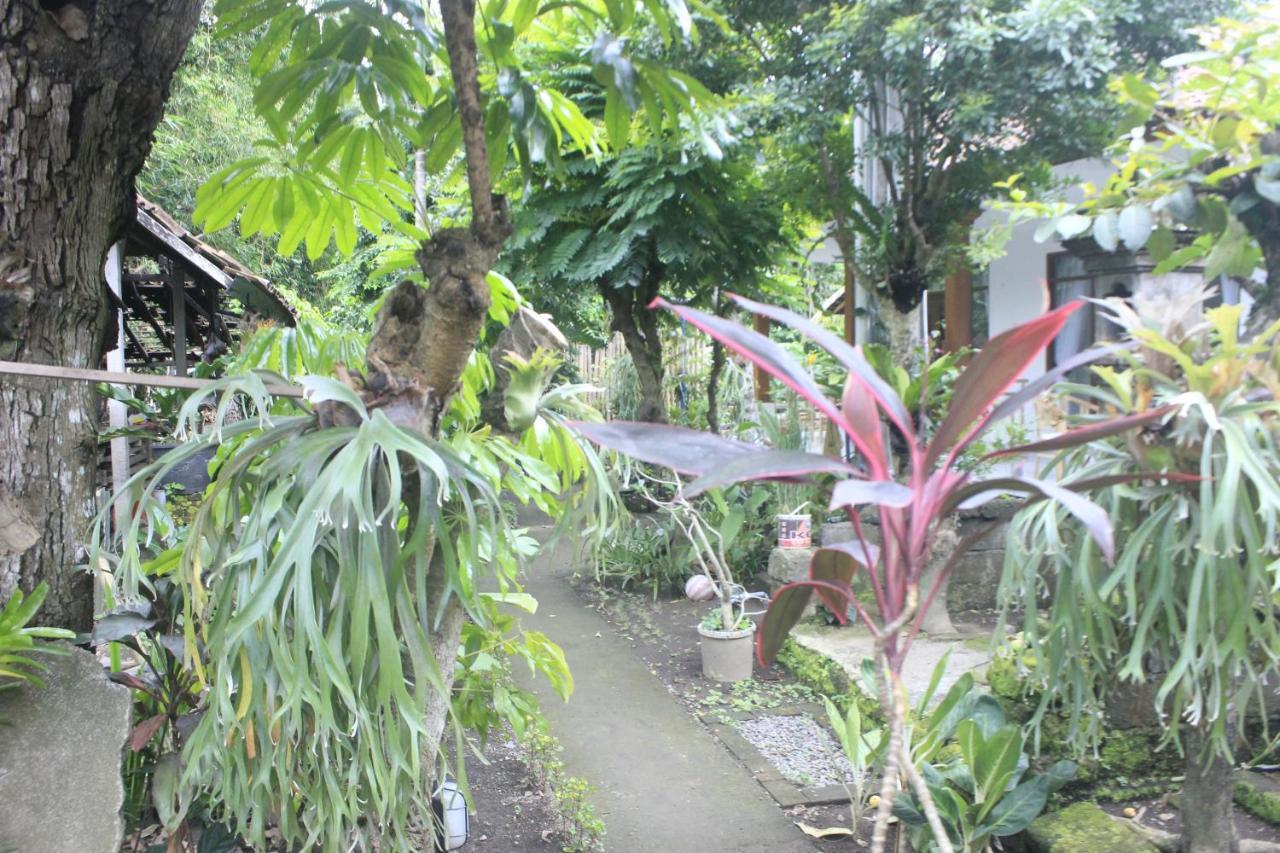 Umah De Arlika Ubud Kültér fotó